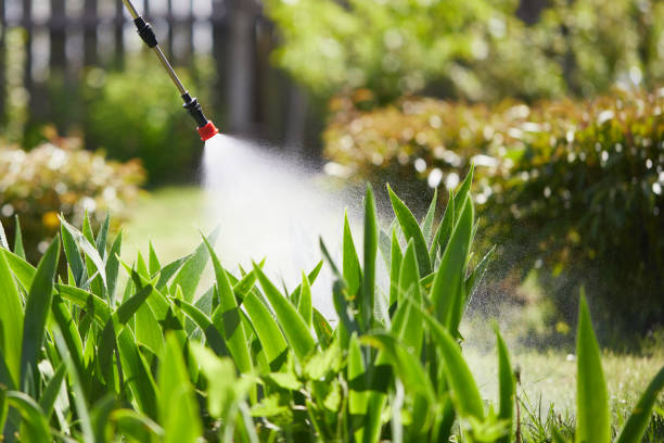Tamper-Resistant Bait Stations for Rodents in Red Corral