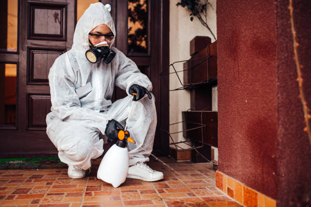 Attic and Crawl Space Rodent Treatment in Red Corral
